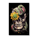 Snake and Skull (16"W x 24"H x 1.5"D // Stretched Canvas)
