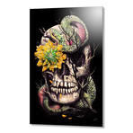 Snake and Skull (16"W x 24"H x 1.5"D // Stretched Canvas)