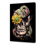 Snake and Skull (16"W x 24"H x 1.5"D // Stretched Canvas)