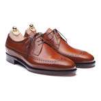 Wingtip Brogue Derby // Brown (Euro: 39)