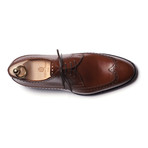 Wingtip Brogue Derby // Brown (Euro: 39)