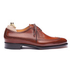 Wingtip Brogue Derby // Brown (Euro: 39)