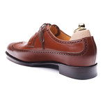 Wingtip Brogue Derby // Brown (Euro: 39)
