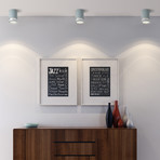 Twister Living // Spot (White + Silver)