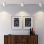 Twister Lighting // Twister Classic // Spot (Silver)