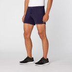 L.A. Wash Hiker Short // Navy (XL)