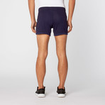 L.A. Wash Hiker Short // Navy (XL)