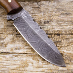 Tecumseh Damascus Knife