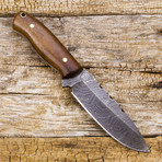 Tecumseh Damascus Knife