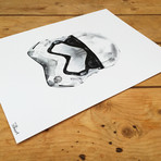 Star White Evolution