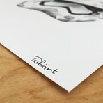 Star White Evolution