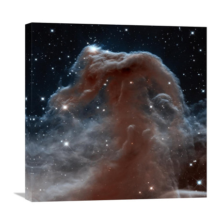 Horsehead Nebula // Infrared View (24"W x 24"H x 1.5"D)