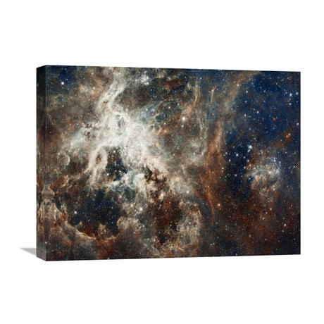 Tarantula Nebula // Compressed Version (18"W x 18"H x 1.5"D)