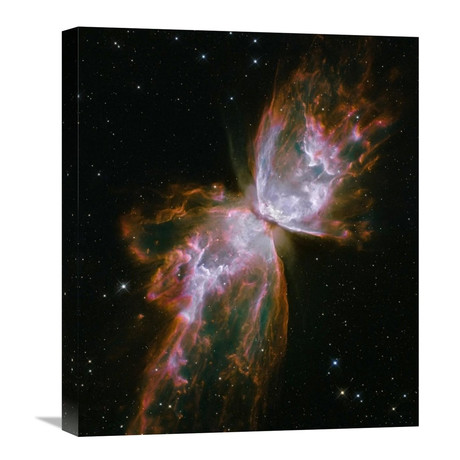 Butterfly Nebula (18.75"W x 22"H x 1.5"D)