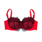 Cordelia Lace Overlay Bra // Red (28DD)