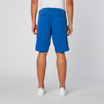 St. Barts Short // Cobalt (36)