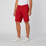 St. Barts Short // Red Polo (31)