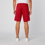 St. Barts Short // Red Polo (31)