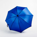 Falcone // Reflective Umbrella