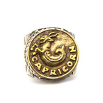 Capricorn Ring (Size 7)