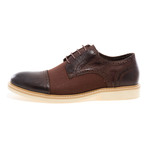 J75 by JUMP // Boston Brogue // Dark Brown (US: 12)