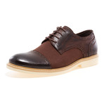 J75 by JUMP // Boston Brogue // Dark Brown (US: 12)