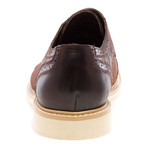 J75 by JUMP // Boston Brogue // Dark Brown (US: 12)