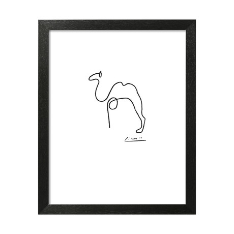 Picasso // The Camel