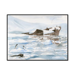 Untitled // Antarctica 6 (20.25"W x 15.16"H x 2"D)