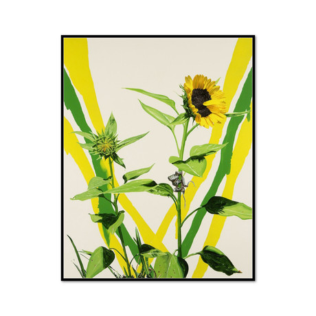 Sunflowers (15.92"W x 20.25"H x 2"D)