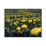 Lawn (20.25"W x 15.38"H x 2"D)