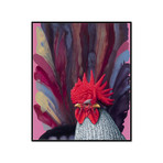 Cockscomb (16.25"W x 19.5"H x 2"D)