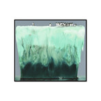 Adelies 2 (19.06"W x 16.25"H x 2"D)