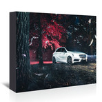 White Mercedes (20"W x 16"H x 1.5"D)