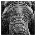 Giovanni Casini // 0|0