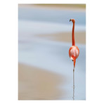 Anna Cseresnjes // I