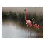 Anna Cseresnjes // …