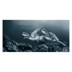 Andrey Narchuk // Twin Dance