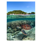 Andrey Narchuk // Along Shore