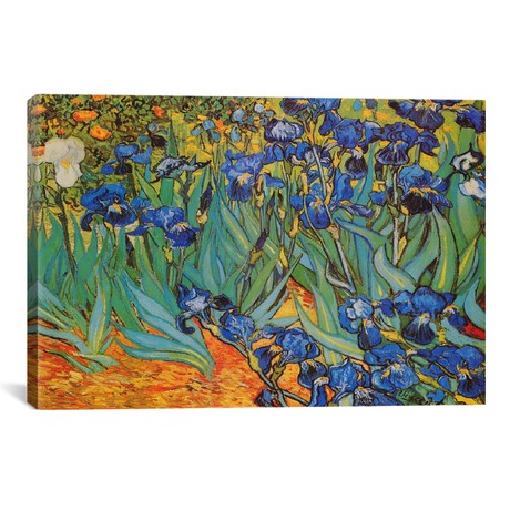 Vincent Van Gogh // Irises (26"W x 18"H x 0.75"D)