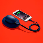 All-In-One Charger // Blue (Micro USB)