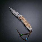 Liner Lock Folding Knife // Stag