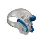 Alias Enamel Snake Eye Ring // Silver + Blue (Size 5.5)