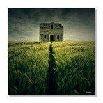 Haunted House // Aluminum Print (16"W x 16"H x .045"D)