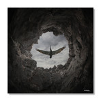 Freedom // Aluminum Print (16"W x 16"H x .045"D)