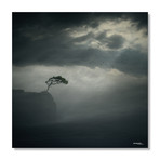 Cliff // Aluminum Print (16"W x 16"H x .045"D)