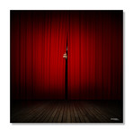 Behind the Curtain // Aluminum Print (16"W x 16"H x .045"D)