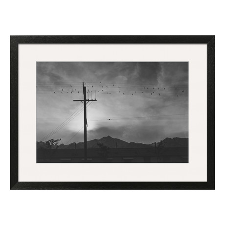 Ansel Adams // Birds on Wire, Evening
