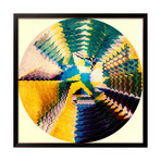 Trip Under The Stars