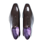 Brady Oxford // Brown (US: 7)